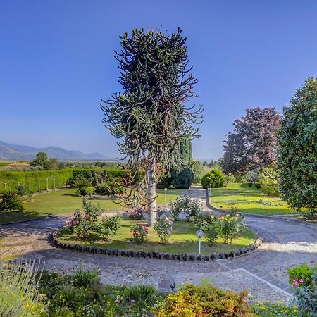 Villa Luce-Casa Vacanza Con Vista Panoramica Mare. 韦莱特里 外观 照片