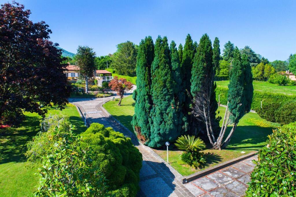 Villa Luce-Casa Vacanza Con Vista Panoramica Mare. 韦莱特里 外观 照片